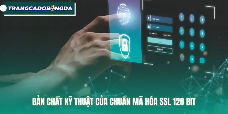 Cấu trúc thuật toán ssl 128 bit bảo mật đường truyền