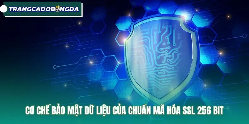 Cơ chế bảo vệ đường truyền của giao thức ssl 256 bit