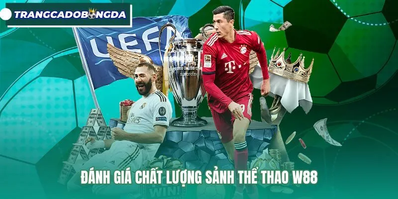 Chất lượng sảnh thể thao W88 với mức biên phế cạnh tranh