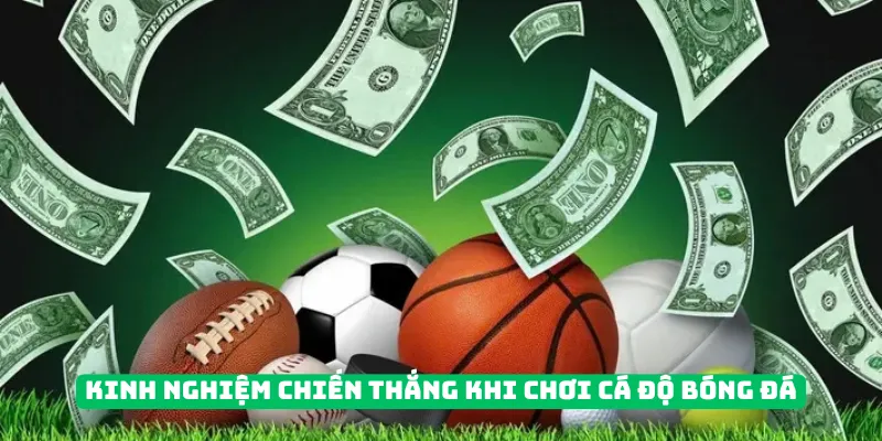 Kinh nghiệm chơi cá độ bóng đá chiến thắng