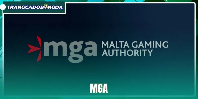 MGA - Tiêu Chuẩn Giám Sát Và Cách Tra Cứu Giấy Phép