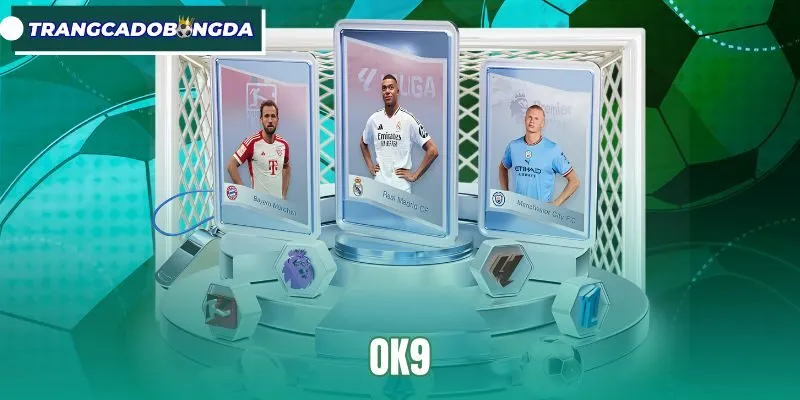 OK9 - Trang Cá Cược Bóng Đá Uy Tín, Trải Nghiệm Ổn Định