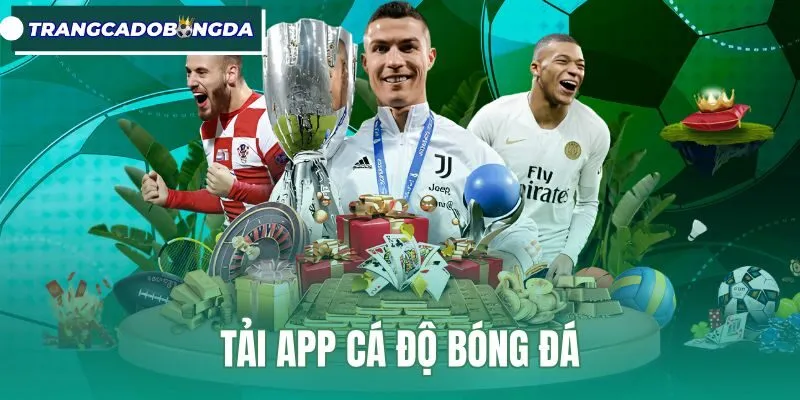 Tải App Cá Độ Bóng Đá - Cài Đặt Chuẩn Android Và iOS